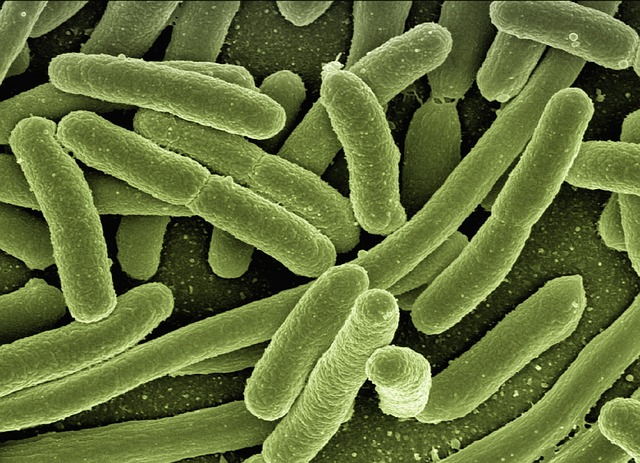 OPERACIONES MENORES EN LA PREVENCIÓN Y CONTROL DE LEGIONELLA SEGÚN RD 487/2022