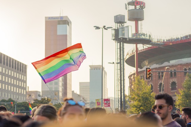 GARANTÍA DE LOS DERECHOS Y LA PLENA IGUALDAD DE LA COMUNIDAD LGTBI