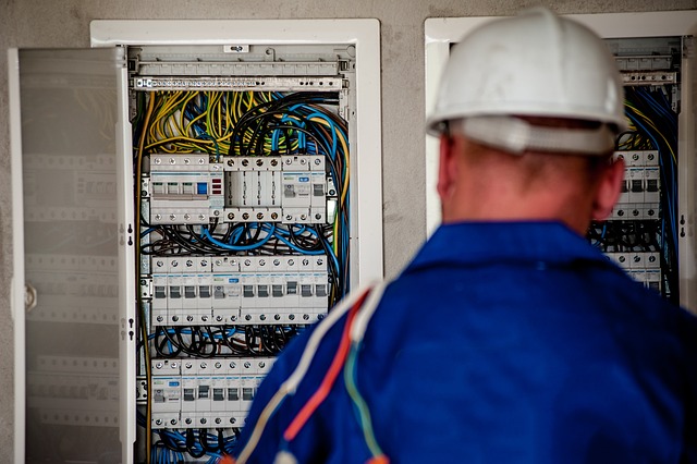 TÉCNICO PROFESIONAL EN INSTALACIONES ELÉCTRICAS EN EDIFICIOS