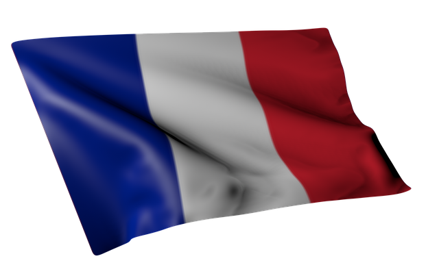 FRANCÉS A2